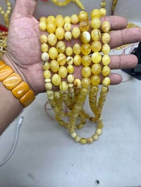 بيض حمام • بولوني • حره طبيعي