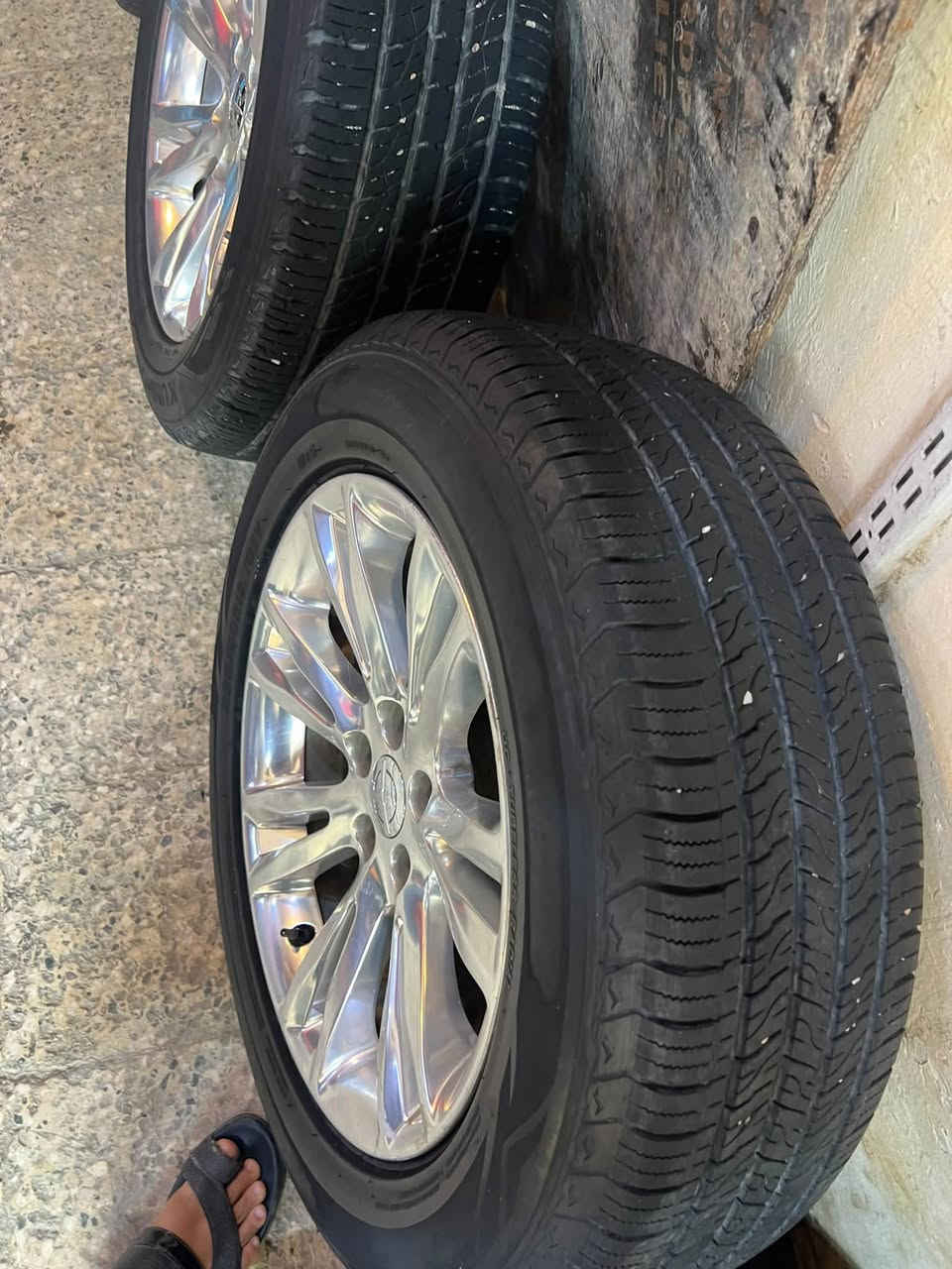 مكسيكي • اصلي • بغداد