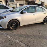 نقل طالبات • الشركاط • للجامعة