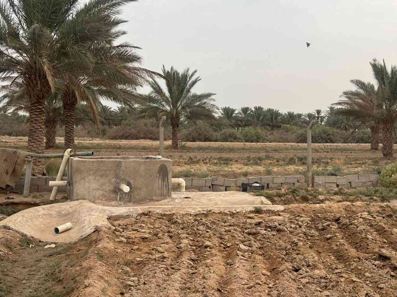 دونم ونص • طابو سند 25 • شارع نجف كربلاء