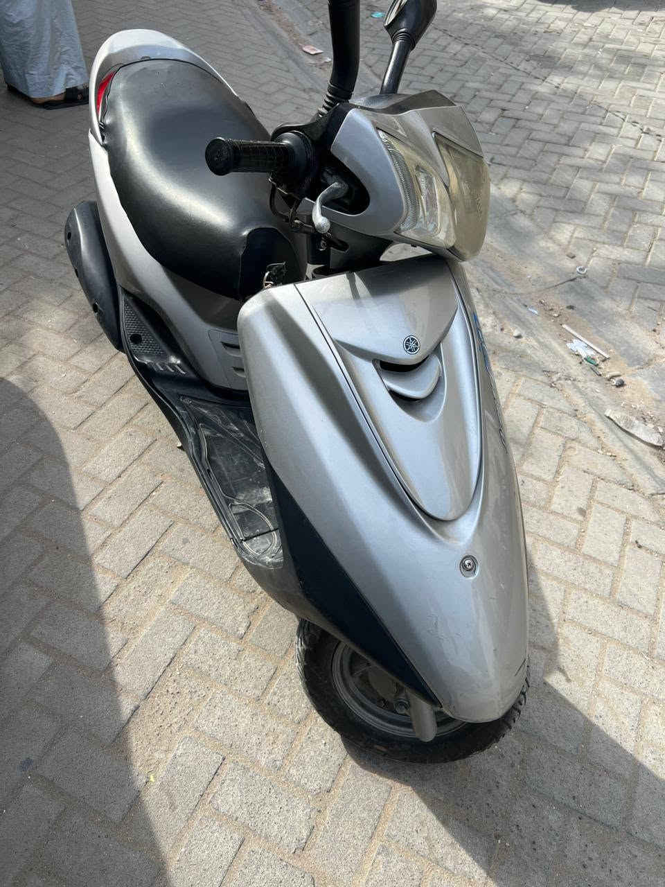 بغبغاء • نظيفة • مكفولة