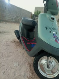 بطة • ٦٠ • مكفوله