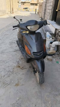 سلف • هندر • شغال