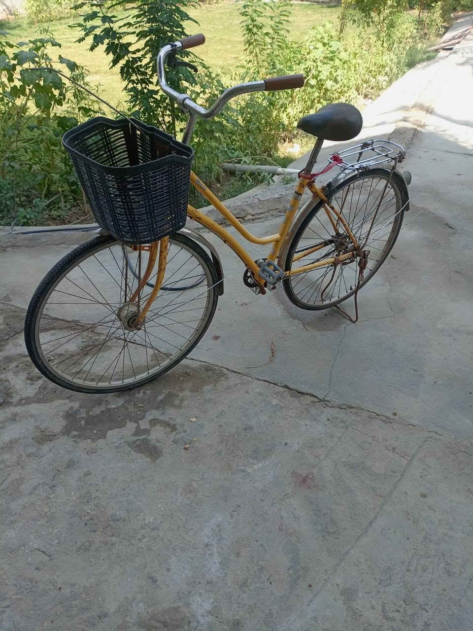 باسكل للبيع ب60/////// ***********
