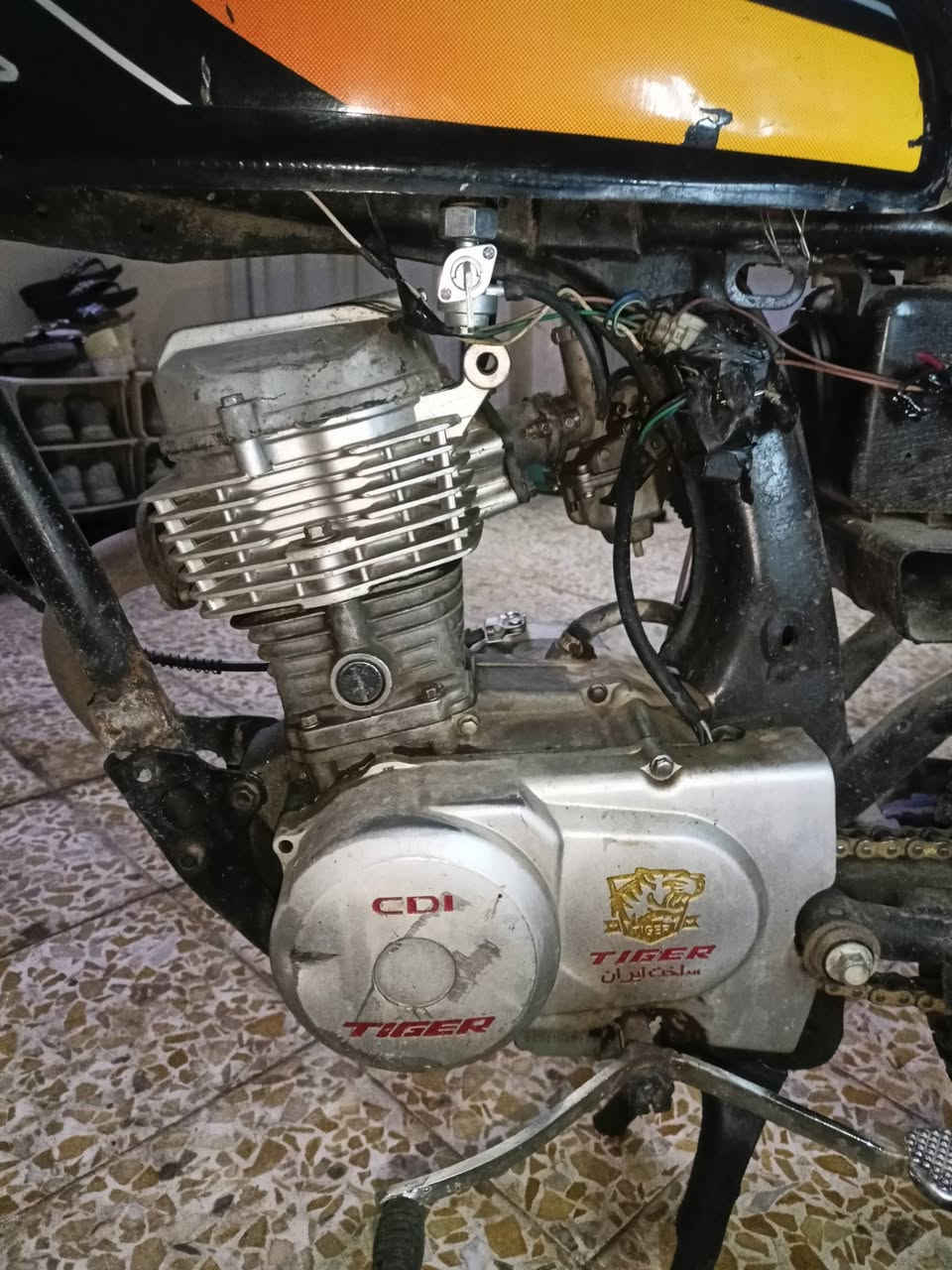 تايكر • ٢٠١٩ • مامفتوح
