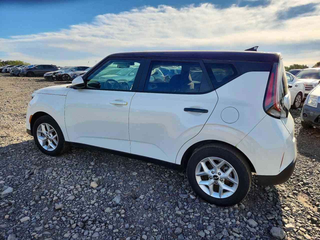 🔥 🔥 شراء جديد  قيد الشحن 🔥 🔥 

🔴 كيا صول KIA SOUL 
🔴 موديل 2025
🔴 الفئة LX
​⏱️ مدة الوصول: خلال شهرين
📍 الوجهة: الأردن - المنطقة الحرة 

🚘🚘🚘🚘🚘🚘🚘🚘🚘

🚚 خدمة التوصيل:
تتكفل شركتنا بتوصيل السيارة من المزاد في أمريكا إلى جميع محافظاتنا العزيزة، حيث نتحمل كامل المسؤولية لحين وصولها إلى محافظة الزبون.

🚘🚘🚘🚘🚘🚘🚘🚘🚘

🏢 مقر الشركة – بابل / الحلة
حي الإمام علي – الشارع الرئيسي
مقابل شارع الكابينات

🕓 وقت العمل في مقر الشركة يومياً من الساعة 4 – 10 مساءً
⚠️ ما عدا يومي السبت والأحد (عطلة المزاد)

📞 للتواصل: ***********

🚗 معرض السيارات – بابل
شارع 60 – قرب مدخل شارع 30

📞 للتواصل: ***********

💬 لا تترددون… تراسلونا بأي وقت للاستفسار أو لطلب سيارة معينة
🚗 وإذا تريد سيارة مثل هاي أو غيرها… إحنا نأمنها لك، فقط تواصل معنا..

⭐ خدمة سريعة – أسعار منافسة – ثقة وتعامل راقي

#استيراد_سيارات #أمريكا #سيارات_أمريكا​⏱️ مدة الوصول: خلال شهرين

نص مكتوب في الصور:
- 68840896X