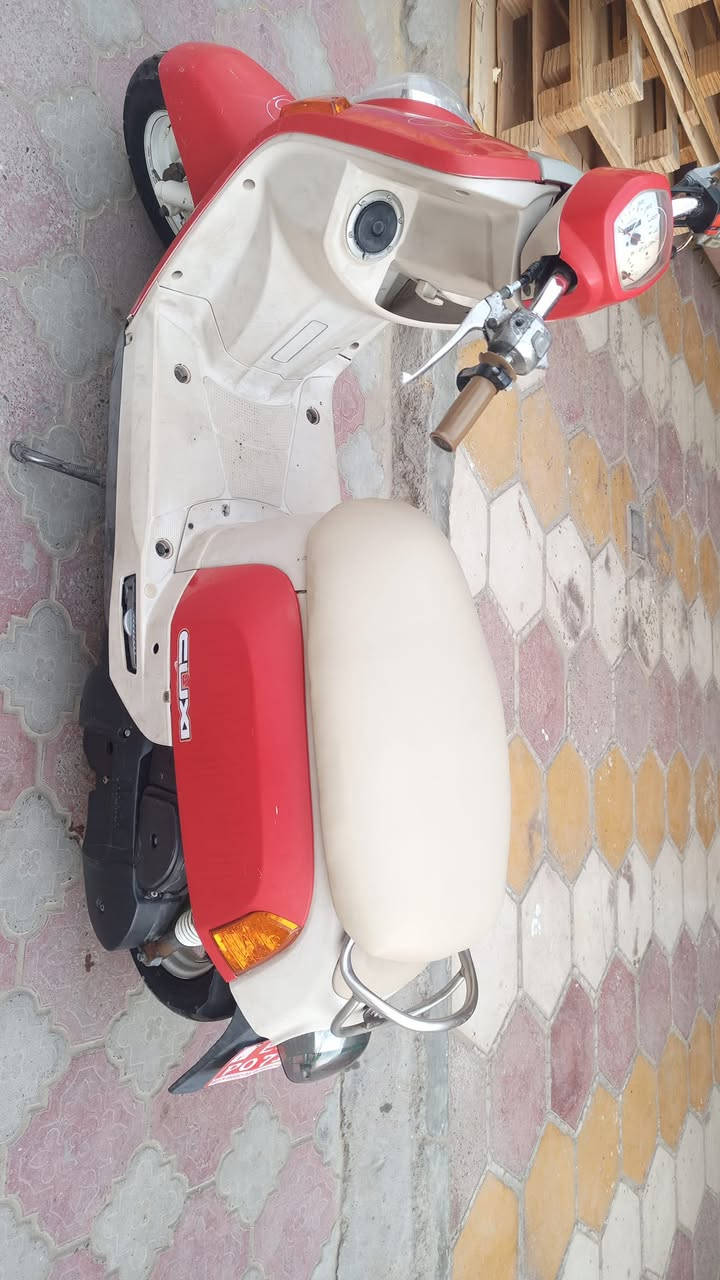 بوليس • ٢٠٠٨ • بوشة ٥٥