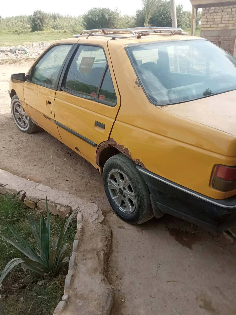 بيجو • مكاني بدرية