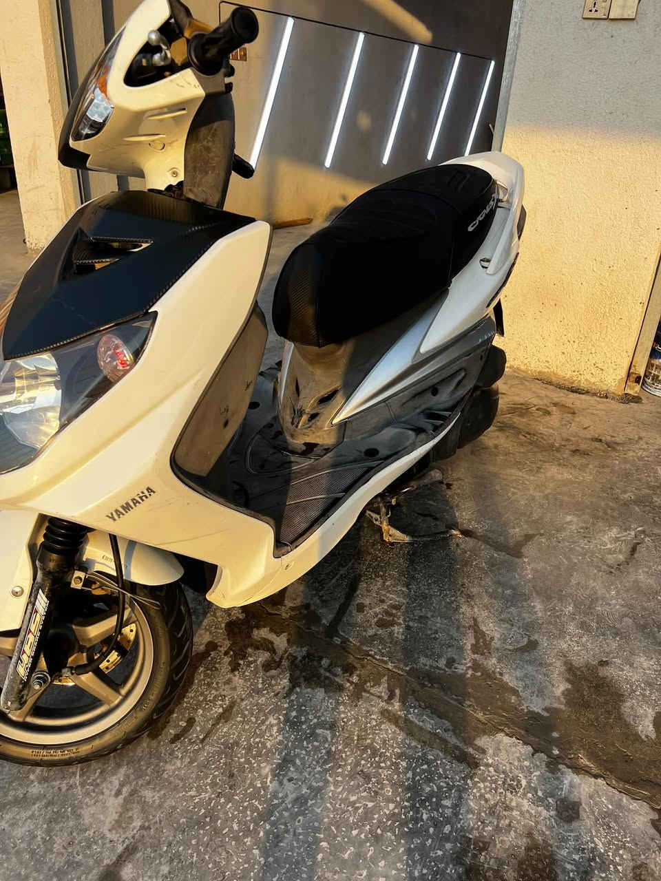 السلام عليكم :سكنس فحل كوري صار شهرين طالع من  رمبه  كفاله من مكينه وكفر موجود الوصل مالته السعر مليون 150بيه مجال  مكاني (بابل الاسكندريه )
***********
