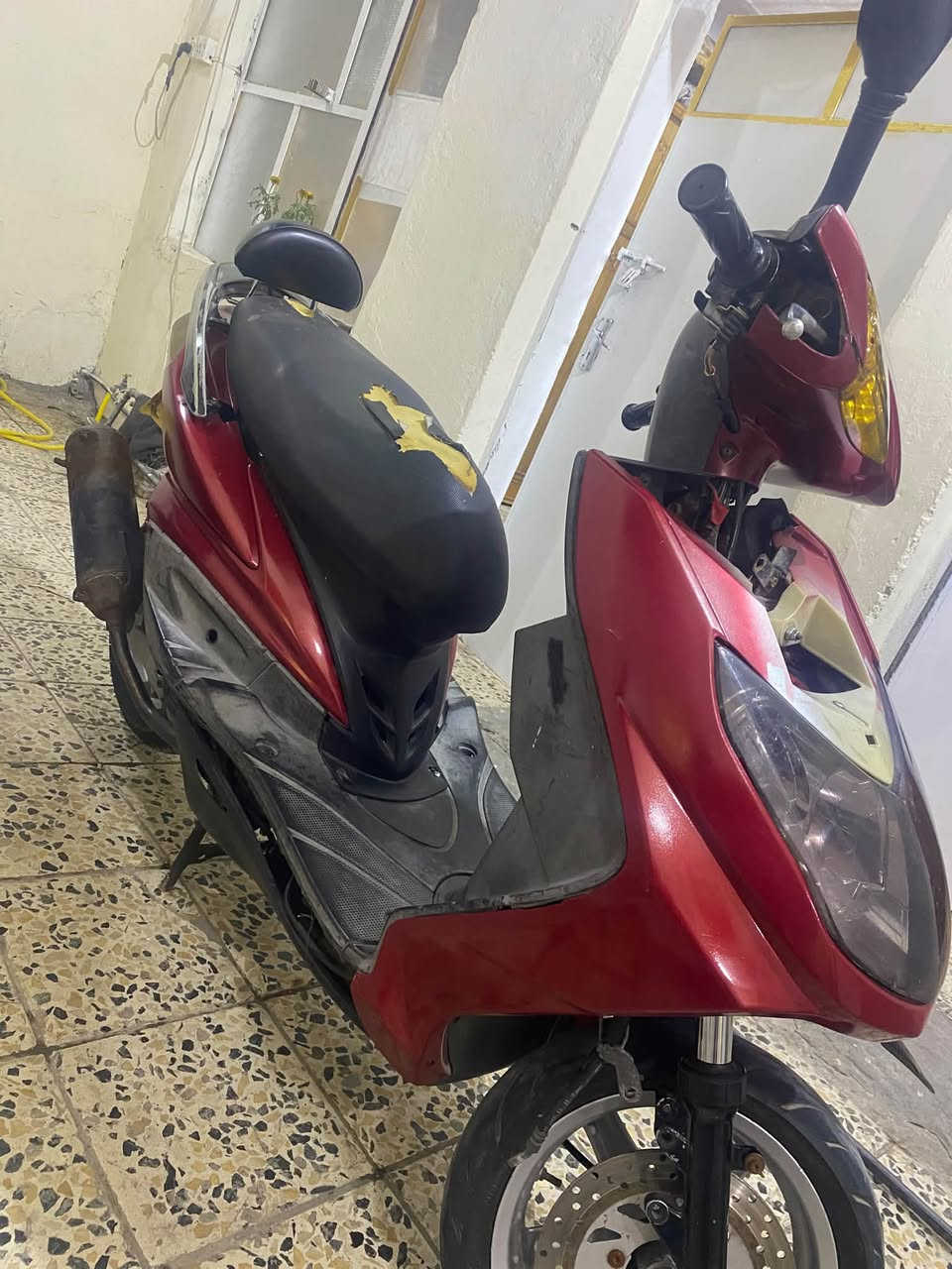 سكنس فحل • كابريتر • معدل