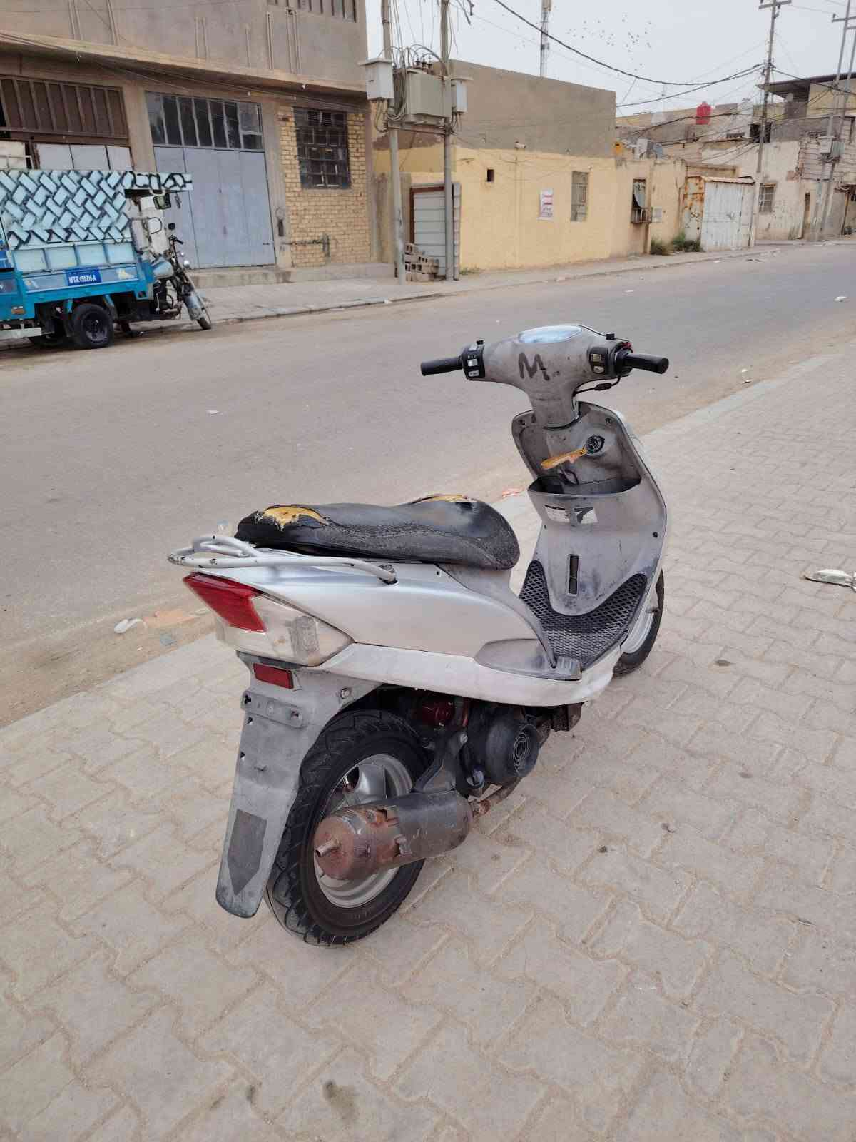 ماكس منغولي • نضيفه • نجف