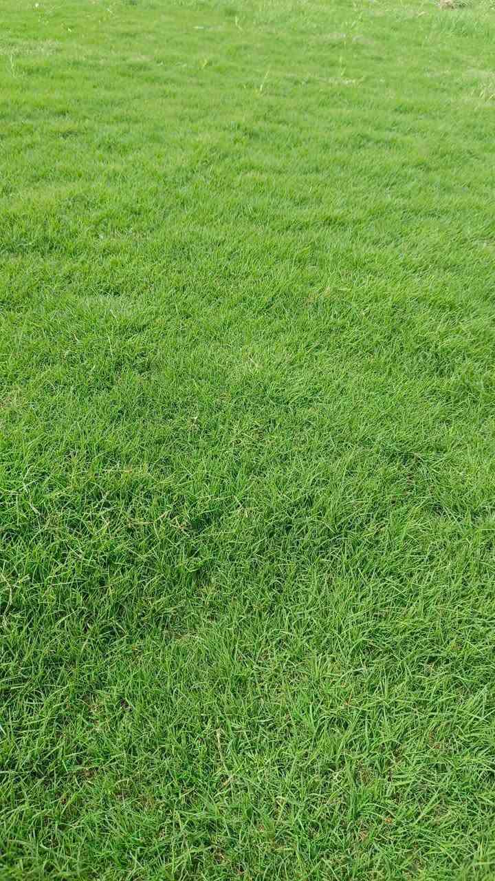 أحدث أعمالنا
معه بدايه الموسم نقدم الكم افضل انوع الثيل درجه اولئ
🍀متوفر كافة انواع الثيل🍀 
الثيل امريكي والهندي والايطالي والفرنسي
كادر متخصص :
لتجهيز... مشاتل🌴
والدوائر حكوميه🏦
منازل🏡 منتزهات🏄
موجود خدمة توصيل 🚕🚕
لكل محافظات العراق 
للطلب التواصل مع الصفحة او الاتصال على :؀واتساب   

***********
***********
