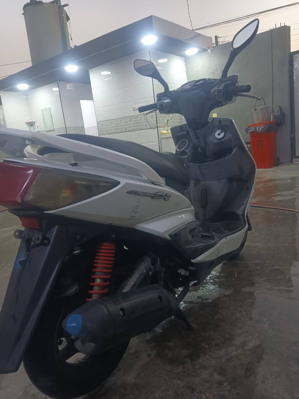 للبيع سكنس فحل كابريتر
دراجه نضيفه عنوان بغداد سبع قصور السعر 600 
الاستفسار ***********
