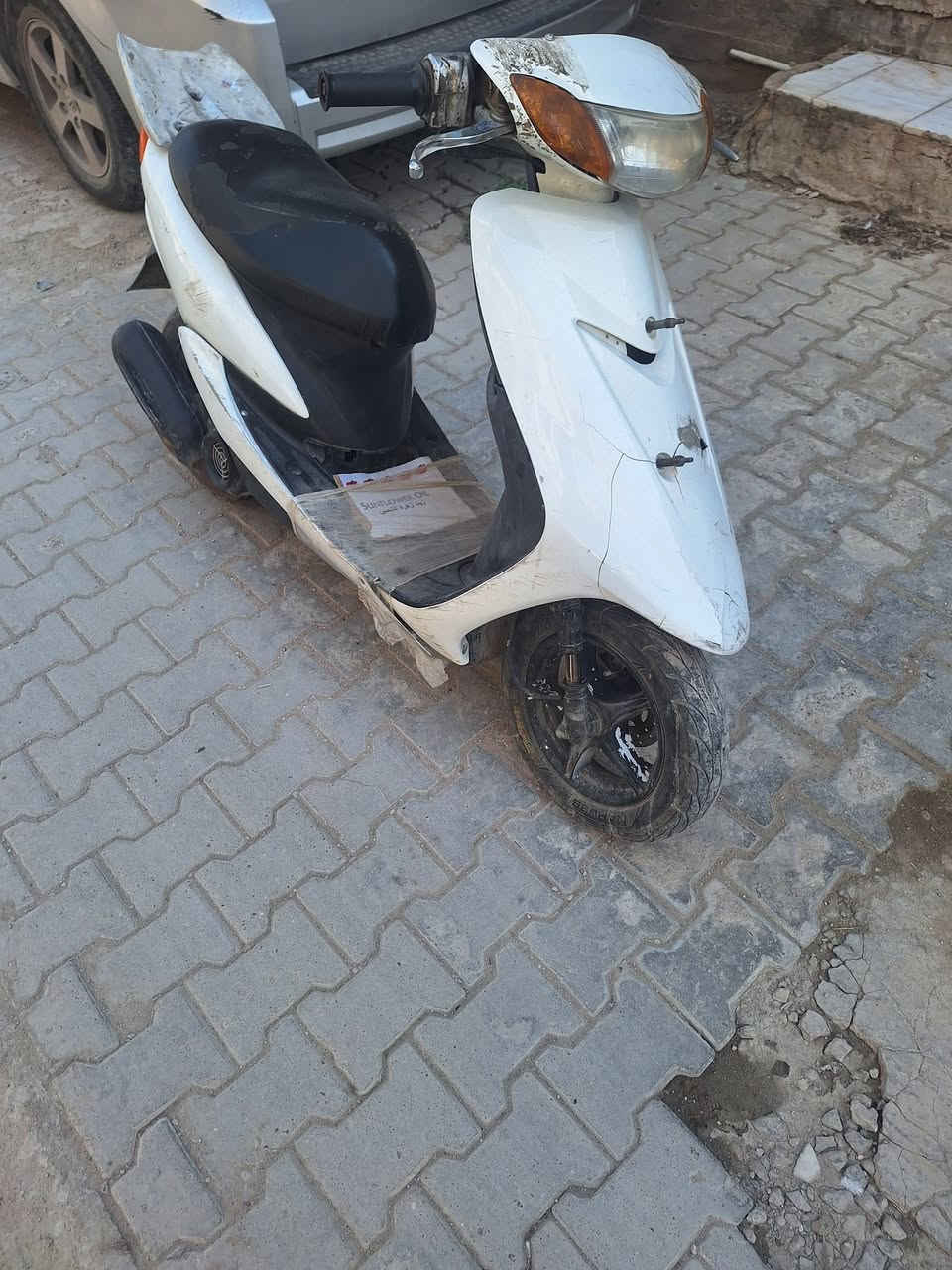 عصفورية • ابيض • مكفولة