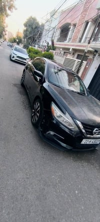 التيما • ٢٠١٦ • اربيل