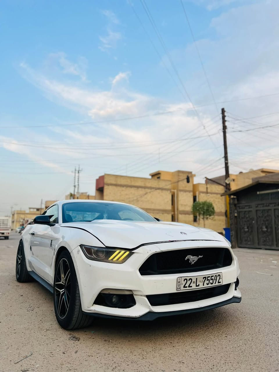 موستنك • ٢٠١٧ • ضرر