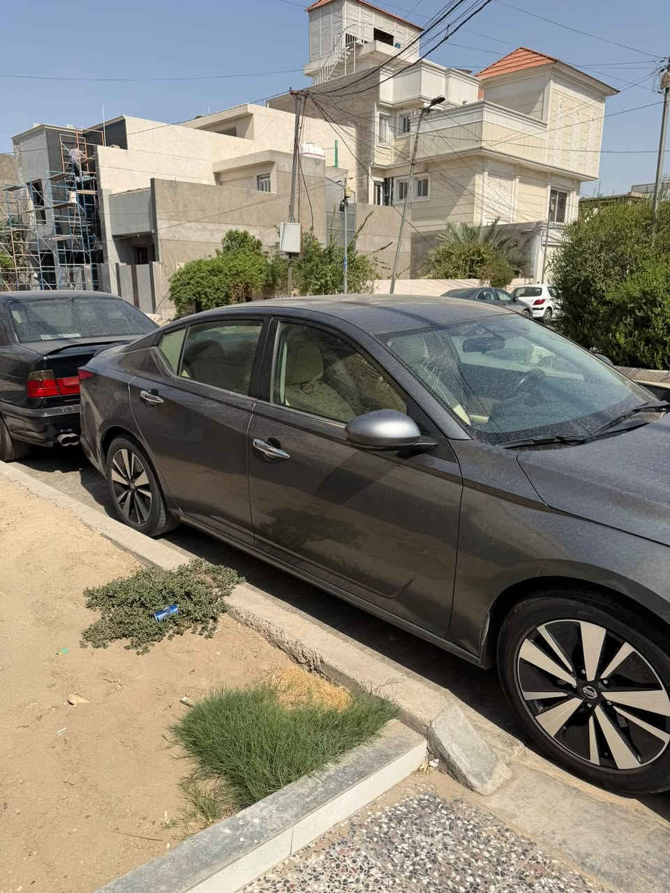 تيما • وارد كندي • ٢٠١٩