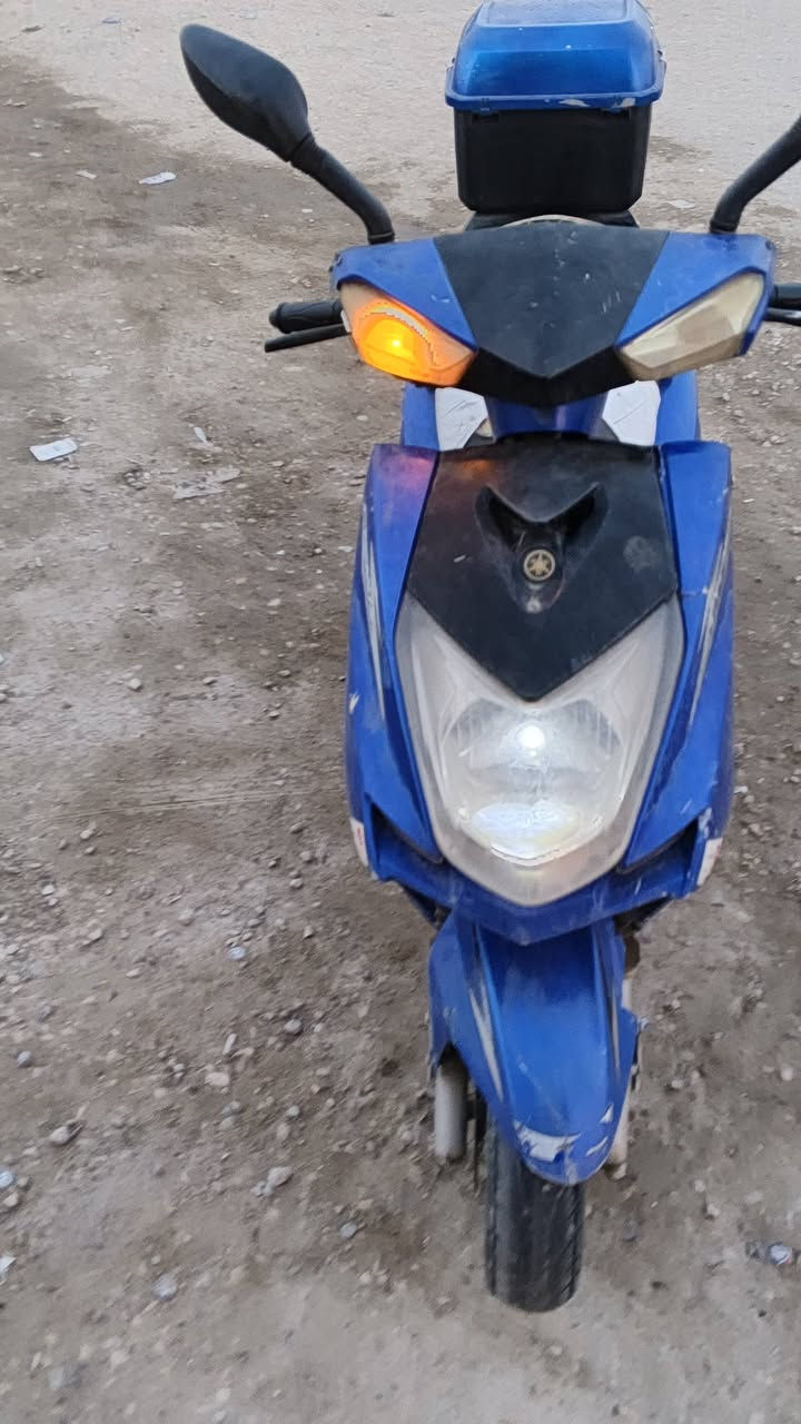 سكنس • شغاله • كفرات تعبانه