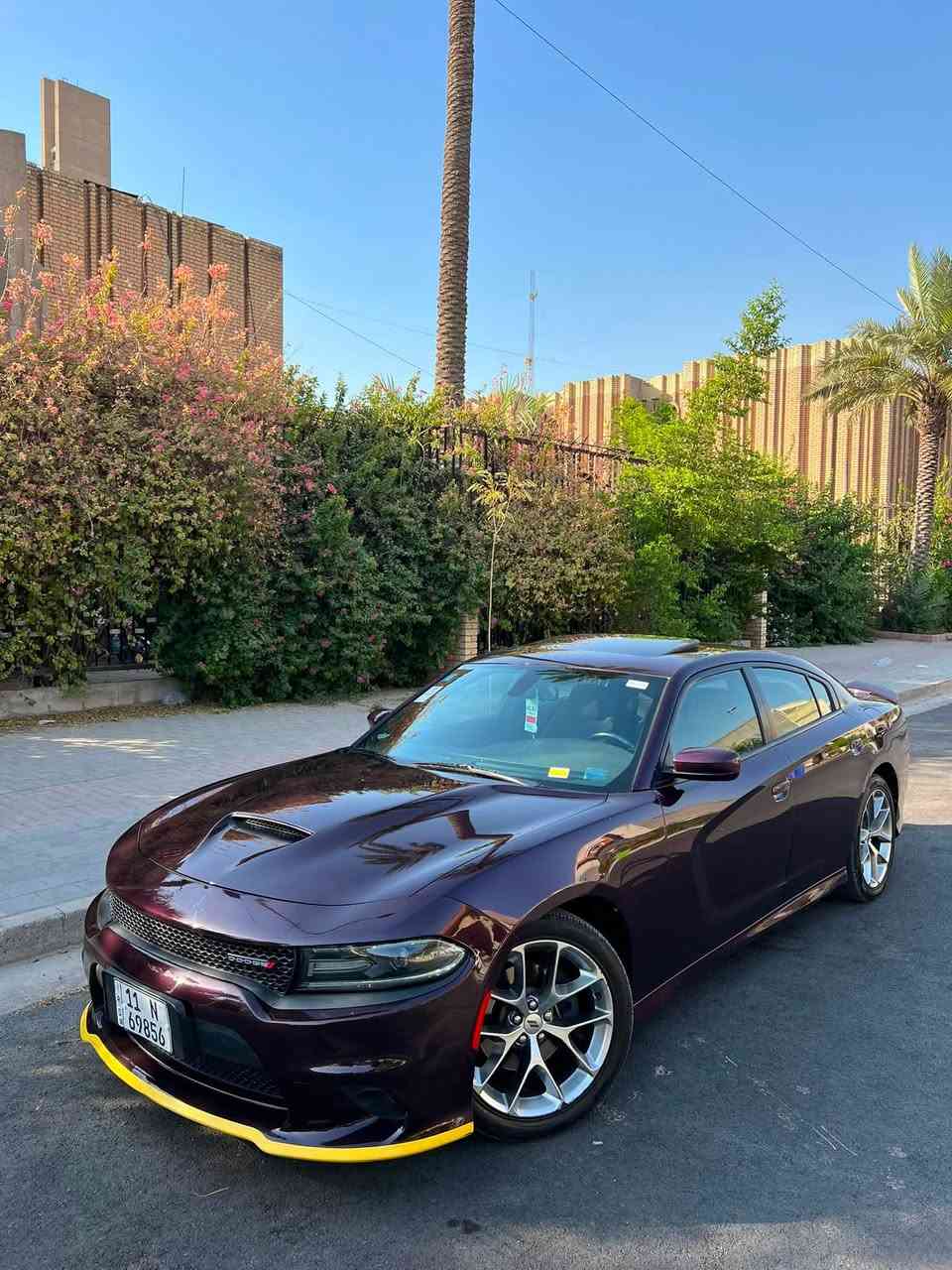 GT    2021
خليجي وكاله هارلم
لون بنفسجي مميز
سوبر تراك باك
سبورت
فتحه
شاشه جبيره
رقم بغداد
ويل عشرين
منضومه تبريد جديده كلها
لايتات منضومه زنون
كير مكينه كفاله
السياره مكفوله بدون صبغ
بيها ٣ مكانات بارد فقط
مكاني بغداد شارع فلسطين
سعر 255 بيها مجال
رقمي ***********
