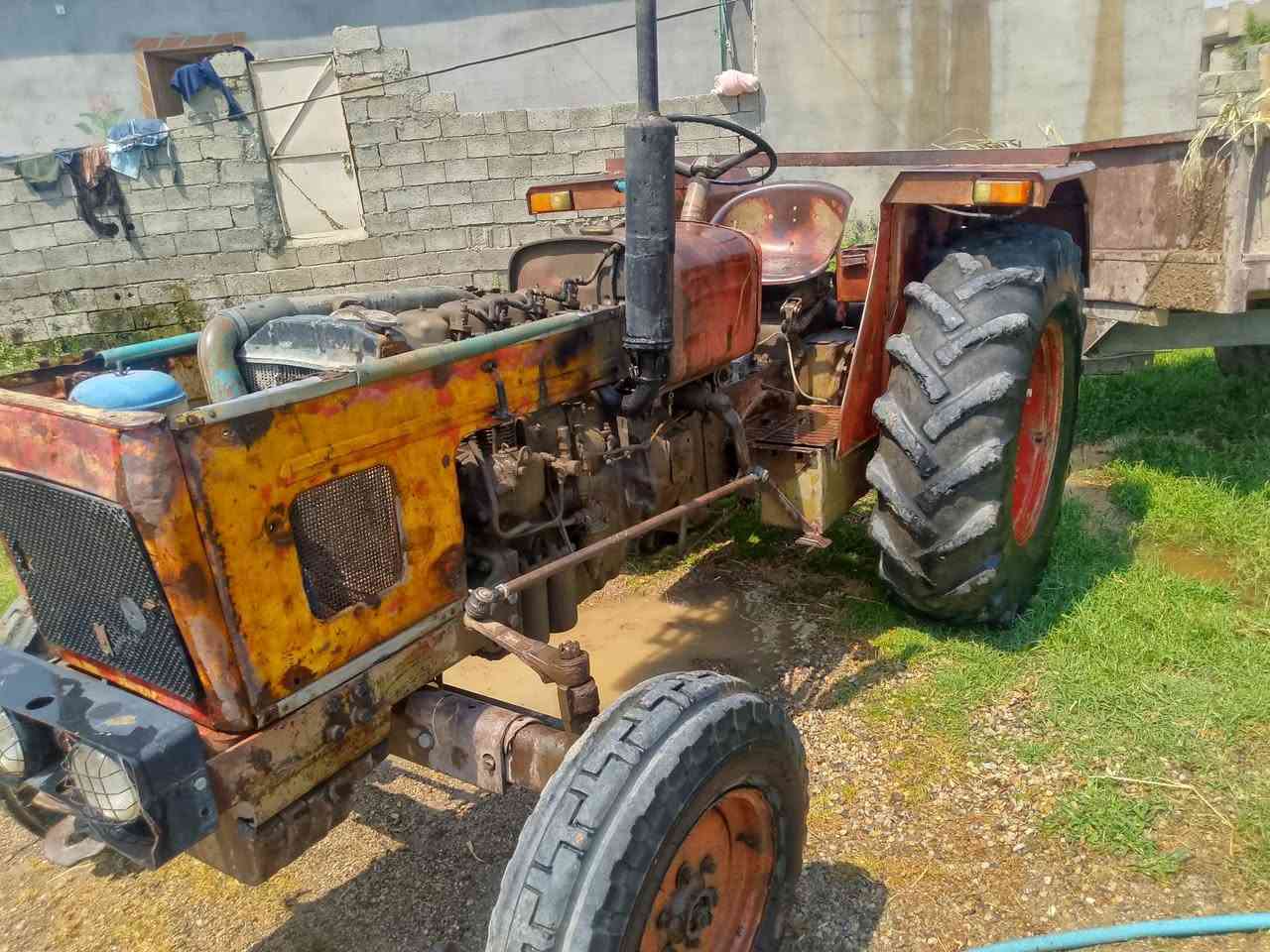 عنتر البيع مكلف بل نشر مكان ديالى سعر 3500 اي استفسار اتصل ع صاحبه *********** سيد محمود
