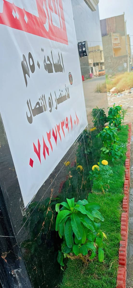مجمع العدل الثاني • ٥٠م • سند ٢٥ تنازل