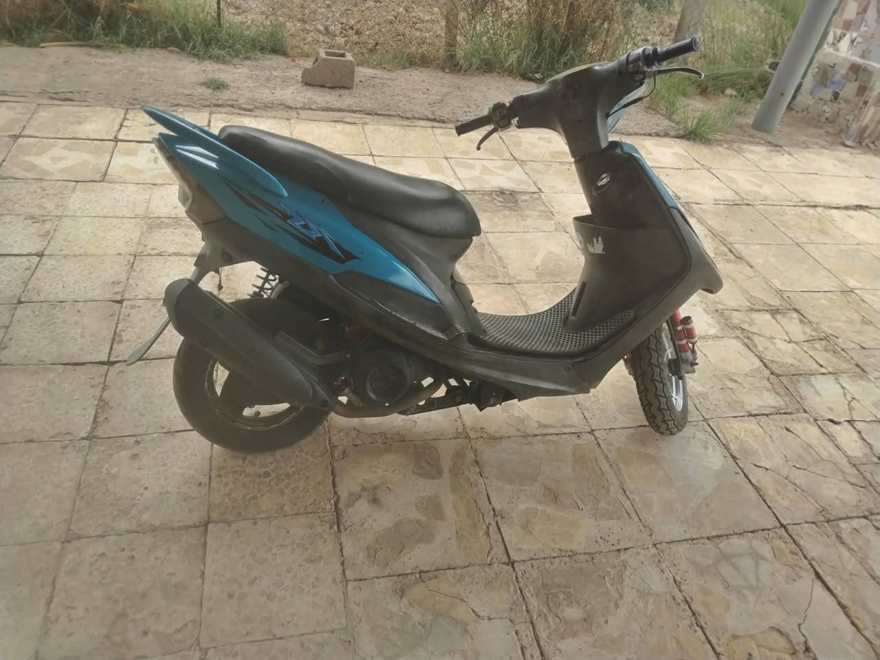 ماكس عدلة • بوشه ٥٥ • ستاند وسط