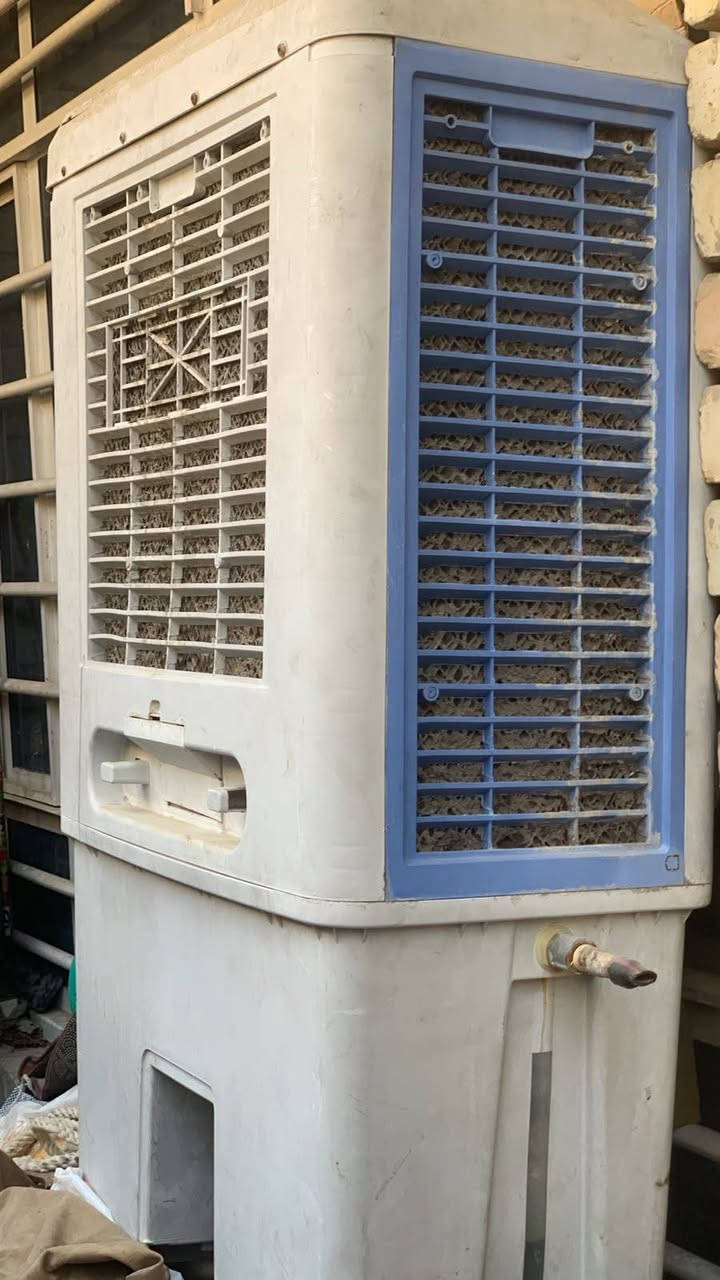 ديوان300طبلات 50كنفيرة50
