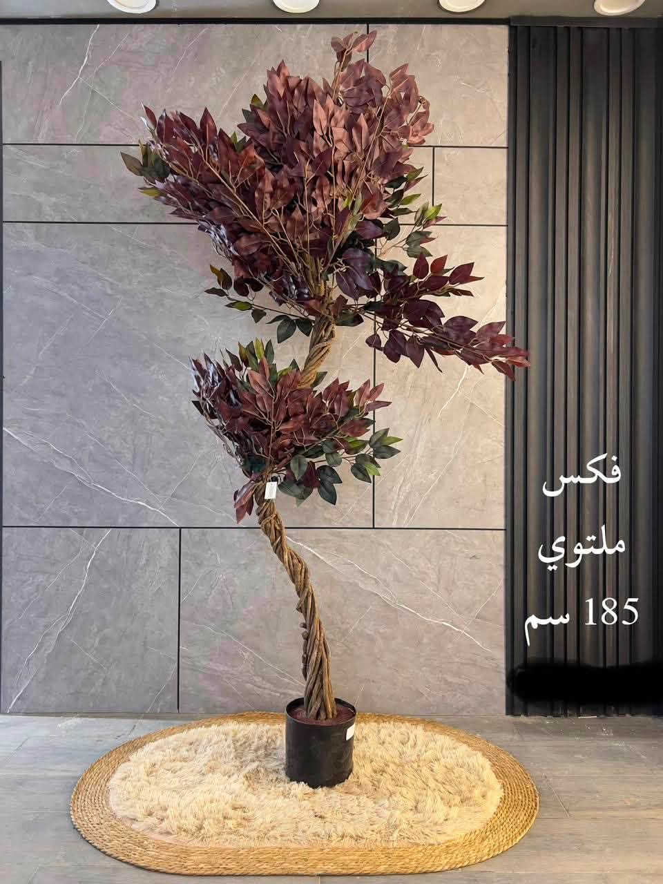 ☘️ لأن الذوق ينعكس في التفاصيل…
وفرنا لكم أجمل النباتات الصناعية بتصاميم واقعية تضيف لمسة فخامة للمنازل، المكاتب، الكافيهات، والمحلات

📍 متوفر لدينا عدة موديلات وأحجام.
📩 للاستفسار والأسعار، راسلنا على الخاص أو زوروا معرض النرجس للأصباغ والديكورات والإنارة الحديثة. 

لا تترددوا بالتواصل معنا، فريقنا جاهز لمساعدتكم واختيار النبات المناسب لديكور منزلكم أو مشروعكم.
📞 للاتصال: ***********
