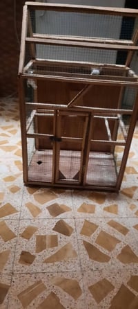 قفص كبير • عماره ميسان • واتساب