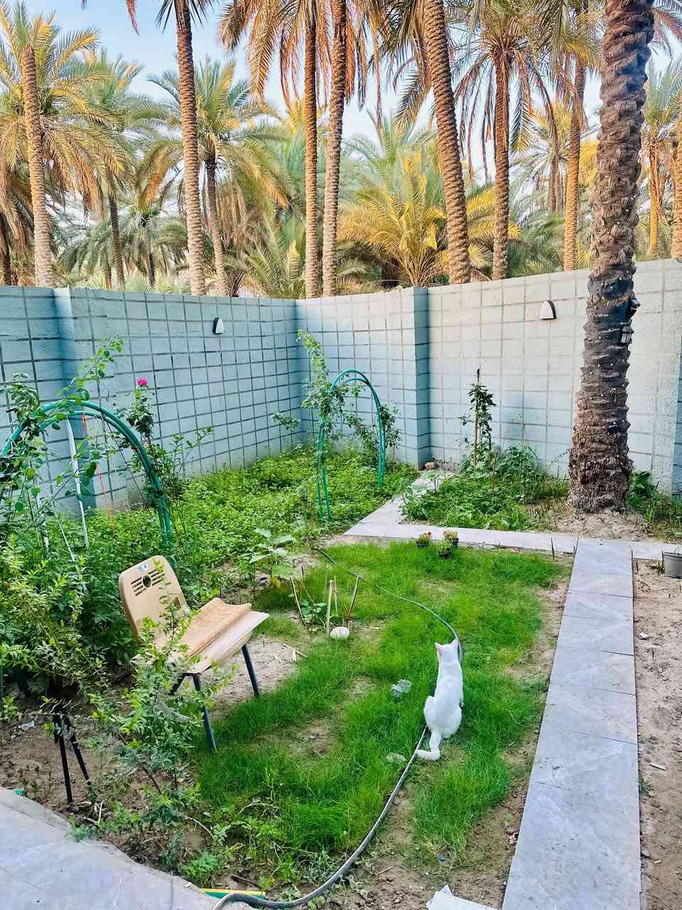 السلام عليكم بيت للبيع المساحه ٢٥٠ متر نوع العقار ملك صرف طابقين 
الطابق الارضي 
غرفه سويت 
استقبال ٤ ونص في ٦ 
صاله قياس ٤ونص في ٨
مطبخ مفتوح على صاله قياس ٤ ونص في ٥
حديقه خلفيه ٨٠ متر 
وغرفه غسيل ملابس وحمام خارجي
الطابق الثاني يحتوي
شقه معزوله تحوتي على مطبخ امريكي مفتوح على صاله 
وغرفه سويت
وصاله وسطانيه
وثلاث غرف سويتات
السعر مناسب جداً 
العنوان كربلاء الجريه او طف قرب مركز الشرطه
الاستفسار الاتصال على رقم ***********@إشارةالجميع
