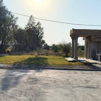 البتيره النواظم • ٥دوانم • صالحة للزراعة