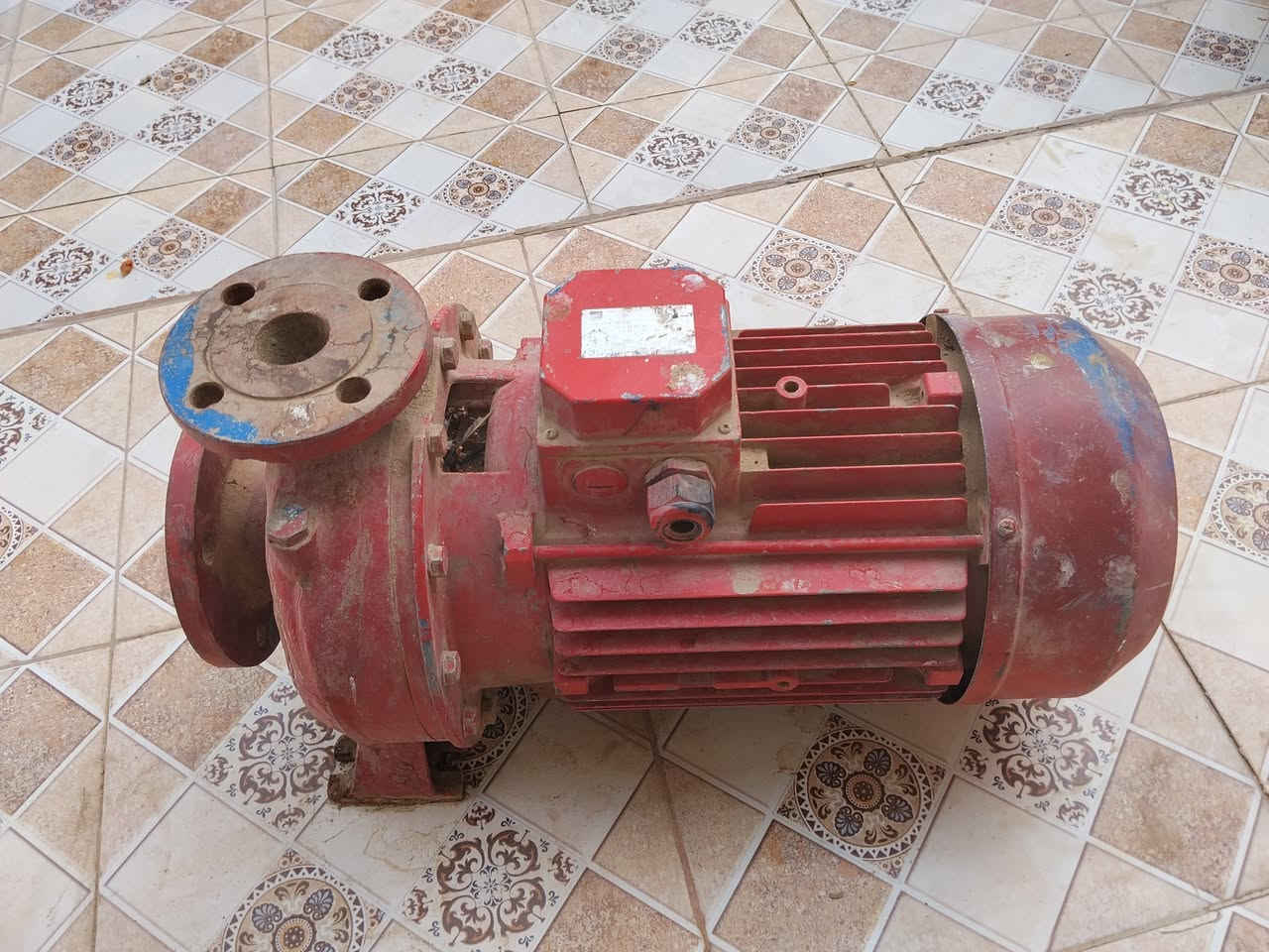 مضخه ماء ما مستخدم شرط 
صناعه إيطاليا 
3فيز 
السرعه..2900دوره في الدقيقه
الجديد مليون وربع 
متوازي وريده 750وبي مجال 
المو شراي لا يكسر بسعر ويشلع كلبي 
المكان ناصريه الشطره العمار 
غير متواجد ع الفيس
‏‪***********‬‏
