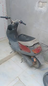 منغولي • شغاله • مبدل بستم