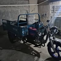 ستوته • صقر • ٢٠١٩