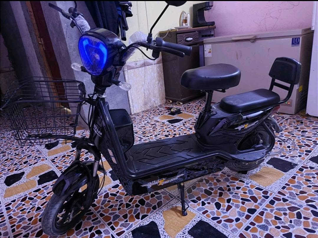 دراجة شحن • حجم ١٤ • موديل ٢٠٢٦