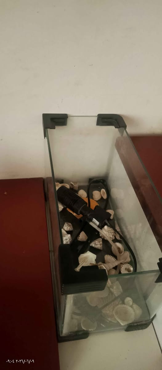 السلام عليكم ورحمه الله 
يتوفر غراض بيت مستخدمة 
حوض سمك
Ups 850
رافع فولتيه
راوتر زين 
جهاز تقطير 
كلها شغالة وعلى الفحص 
مكاني كربلاء طريق بغداد قرب مدينة الزاىرين سيد الأوصياء *********** كربلاء, العراق

نص مكتوب في الصور:
- ١٣:١٣ ٢٠٢٦/٠٩/١٠
- ٠٩:٠٤ ٢٠٢٦/٠٦/٠٩
- ٠٩:٠٨ ٢٠٢٦/٠٦/٠٩
- ٠٩:١٢ ٢٠٢٦/٠٦/٠٩