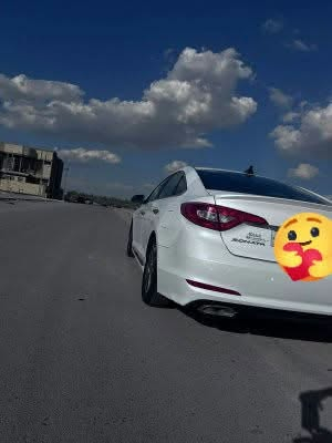 سوناته • ٢٠١٦ • وارد امريكي