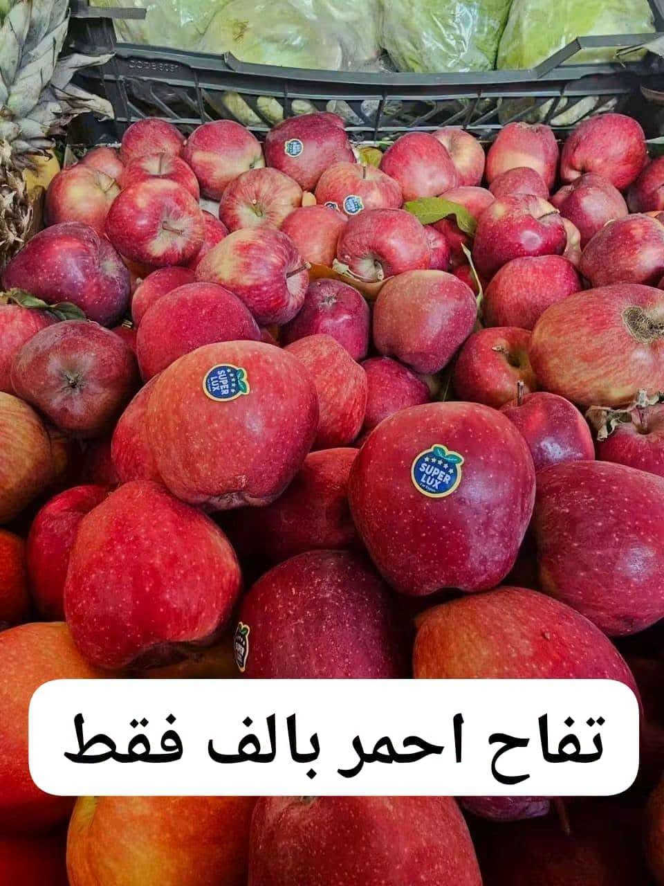 فواكه وخضروات • توصيل يومي • خانقين امام عباس