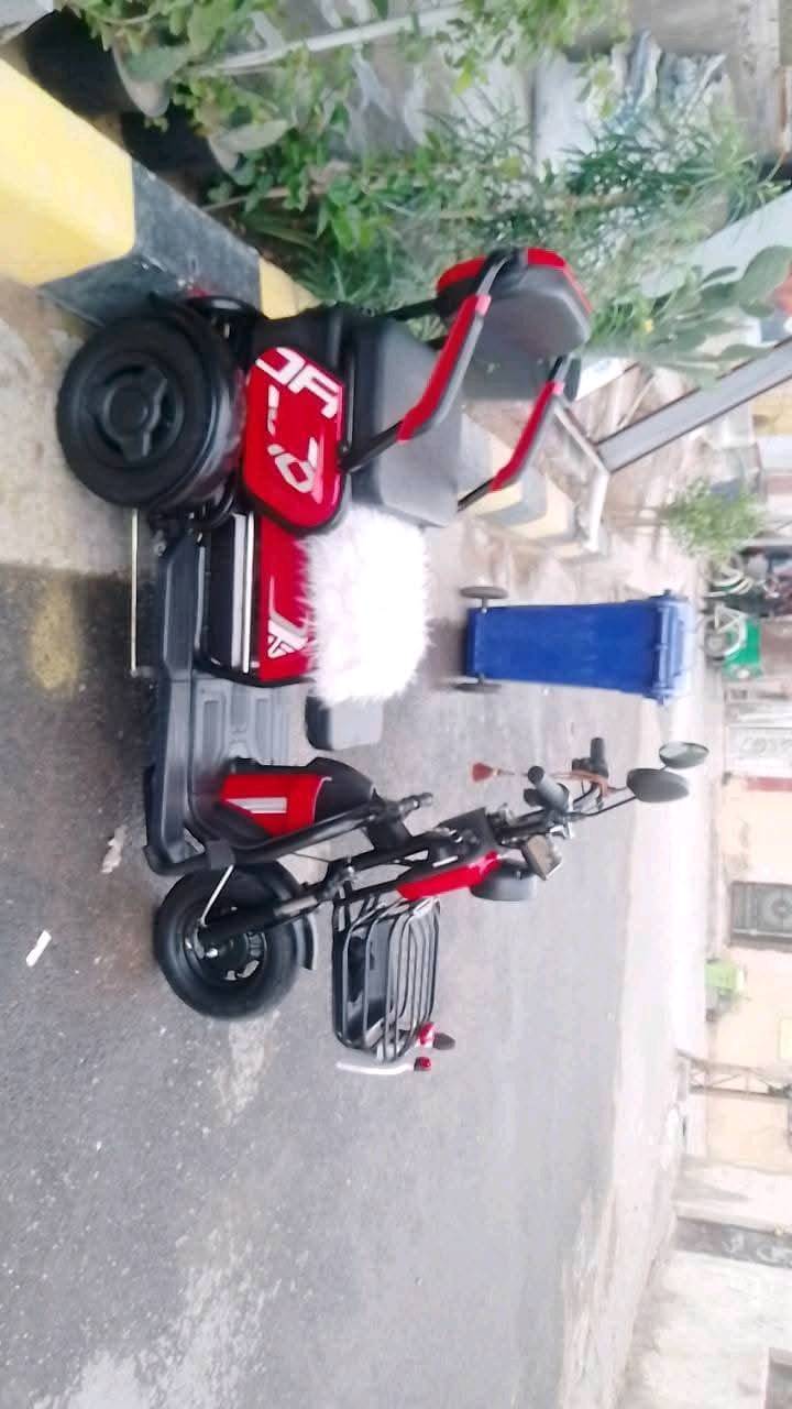 مراوس فقط