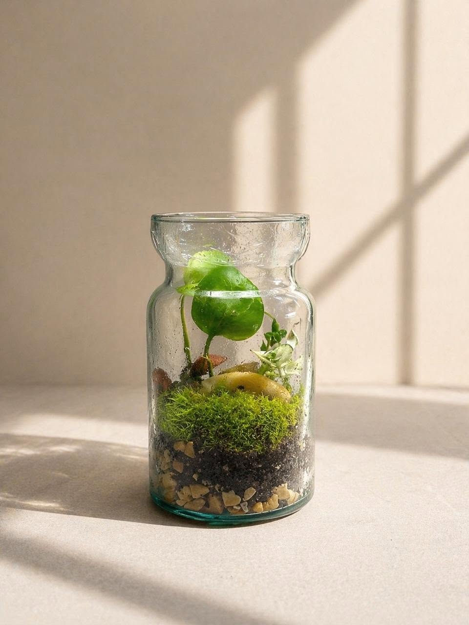 🌿✨ **مو مجرد تراريوم… قطعة طبيعية تعيش وياك وتكبر بمرور الوقت** ✨🌿

إذا تحب الطبيعة واللون الأخضر، بس ما عندك مساحة لحديقة أو وقت للعناية بالنباتات بشكل مستمر، فالتراريوم هو الخيار الجميل والبسيط 🌱

كل تراريوم عندنا مصمم بعناية، من اختيار النباتات والتربة والطبقات الداخلية إلى تنسيق الحصى والديكور، حتى تحصل على **منظر طبيعي متكامل داخل قطعة واحدة** 🤍

🌱 **شنو يميز التراريوم؟**
• نباتات طبيعية وحقيقية 🌿
• تنسيق يدوي بعناية واهتمام بالتفاصيل
• تصميم مستوحى من الطبيعة والحدائق الصغيرة
• مناسب للبيت، المكتب، المحل أو كهدية مميزة 🎁
• يحتاج مساحة بسيطة ويضيف لمسة خضراء للمكان
• ومع مرور الوقت، النباتات تستمر بالنمو وتتغير بشكل طبيعي، لذلك كل تراريوم يبقى له طابعه الخاص.

💧 **العناية بالتراريوم**

العناية بالتراريوم بسيطة جداً، لكن أهم شيء هو معرفة احتياج النبات للماء والضوء.

☀️ **الإضاءة:**
يوضع التراريوم في مكان يحصل على إضاءة جيدة، ويفضل أن تكون إضاءة طبيعية غير مباشرة.
تجنب وضعه تحت أشعة الشمس المباشرة، خصوصاً خلف الزجاج، لأن الحرارة ممكن ترتفع داخل الوعاء وتضر النباتات.

💦 **الماء:**
التراريوم ما يحتاج سقي متكرر مثل النباتات العادية.
قبل إضافة الماء، نراقب رطوبة التربة والزجاج من الداخل.
إذا كانت الرطوبة موجودة والتربة ما زالت رطبة، ما يحتاج إضافة ماء.

والقاعدة الأهم:
**لا تكثر الماء 🌧️❌**

لأن زيادة الماء ممكن تسبب تعفن الجذور أو ظهور الفطريات.
أما إذا لاحظت أن التربة جافة بشكل واضح وماكو رطوبة داخل التراريوم، هنا يحتاج كمية قليلة من الماء.

🌿 **التهوية:**
إذا كان التراريوم مغلق، ممكن تحتاج تفتح الغطاء لفترة قصيرة إذا لاحظت تكاثف ماء كثيف ومستمر على الزجاج.
أما وجود قطرات خفيفة أو ضباب بسيط على الزجاج فهو طبيعي في التراريوم المغلق.

✂️ **التقليم والتنظيف:**
مع نمو النباتات، ممكن تحتاج بعض الأوراق إلى تقليم بسيط حتى يبقى التصميم مرتب.
وإذا ظهرت أوراق ذابلة، يفضل إزالتها حتى تحافظ على نظافة وصحة التراريوم.

🧼 **تنظيف الزجاج:**
يمكن تنظيف الزجاج من الخارج بقطعة قماش ناعمة، مع الانتباه إلى عدم استخدام مواد تنظيف قوية داخل التراريوم.

🌱 **هل النباتات تبقى بنفس الشكل؟**
لا، وهذا جزء من جمال التراريوم ❤️

التراريوم نظام حي، والنباتات تستمر بالنمو وتتغير مع الوقت.
ممكن تظهر أوراق جديدة، ويكبر النبات أو يتغير توزيع المساحات الخضراء، وهذا يخلي كل قطعة مختلفة ومميزة.

🛡️ **الضمان والعناية بعد الاستلام**

نحن نهتم بالتراريوم من لحظة تجهيزه إلى أن يوصل إليك، ولهذا نحرص على أن يكون بحالة جيدة ومناسب للعرض والعناية.

الضمان يشمل **سلامة التراريوم عند الاستلام وأي مشكلة ناتجة عن التجهيز أو النقل حسب شروط الضمان المتفق عليها عند الطلب**.

⚠️ أما المشاكل الناتجة عن سوء الاستخدام أو العناية، مثل:
• زيادة الماء بشكل كبير
• وضع التراريوم تحت الشمس المباشرة
• تعريضه لحرارة عالية
• كسر الوعاء أو العبث بالطبقات الداخلية
فلا تدخل ضمن الضمان.

📌 **مهم:** لأن التراريوم كائن حي، فإن اختلاف شكل النباتات أو نموها بعد الاستلام يعتبر جزءاً طبيعياً من دورة حياة النبات وليس عيباً في المنتج.

🎁 **مناسب كهدية؟**
أكيد 🌿❤️

التراريوم هدية مختلفة عن الهدايا التقليدية؛ لأنك ما تهدي مجرد قطعة ديكور، وإنما تهدي **جزء صغير من الطبيعة** يمكن للشخص الاحتفاظ به ومشاهدته وهو ينمو ويتغير مع الوقت.

🏡 مناسب لـ:
✔️ ديكور المنزل
✔️ المكتب
✔️ غرف النوم
✔️ المكاتب والشركات
✔️ المحلات والكافيهات
✔️ المناسبات والهدايا
✔️ محبي النباتات والطبيعة

🌿 **كل صورة من الصور الـ20 بالمنشور تبين تفاصيل مختلفة من أعمالنا وتصاميمنا، حتى تشوف جمال التراريوم من أكثر من زاوية وتلاحظ التفاصيل الصغيرة اللي يمكن ما تبين بصورة واحدة.**

إذا عجبك أحد التصاميم أو تريد **تراريوم بتنسيق وحجم معين**، راسلنا وراح نساعدك باختيار التصميم المناسب 🌱✨

**الطبيعة ما تحتاج مساحة كبيرة… أحياناً تكفيها قطعة زجاج صغيرة. 🌿🤍**

📩 للطلب والاستفسار: راسلنا على الخاص.
*********** النجف, العراق
