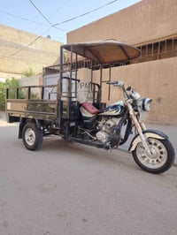ستوته • شاصي مكفول • ٢٠٢٠