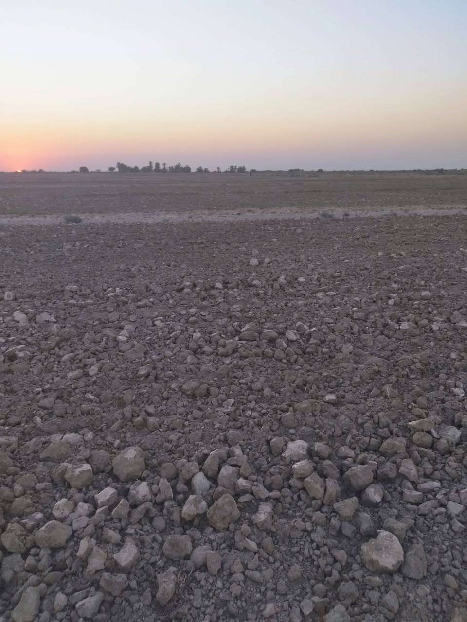 صوب بني ركاب • ٣٣ دونم • زراعية