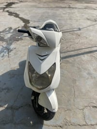 سكنس فحل • نوزل خطين • جديده