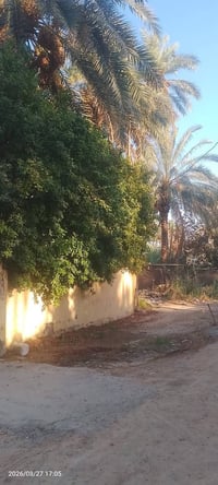حسينينه • ٤٠٠م • واجهه ١٨م