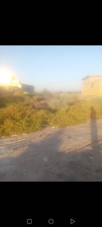 طريق الشركات • زراعي • ٢١٠م