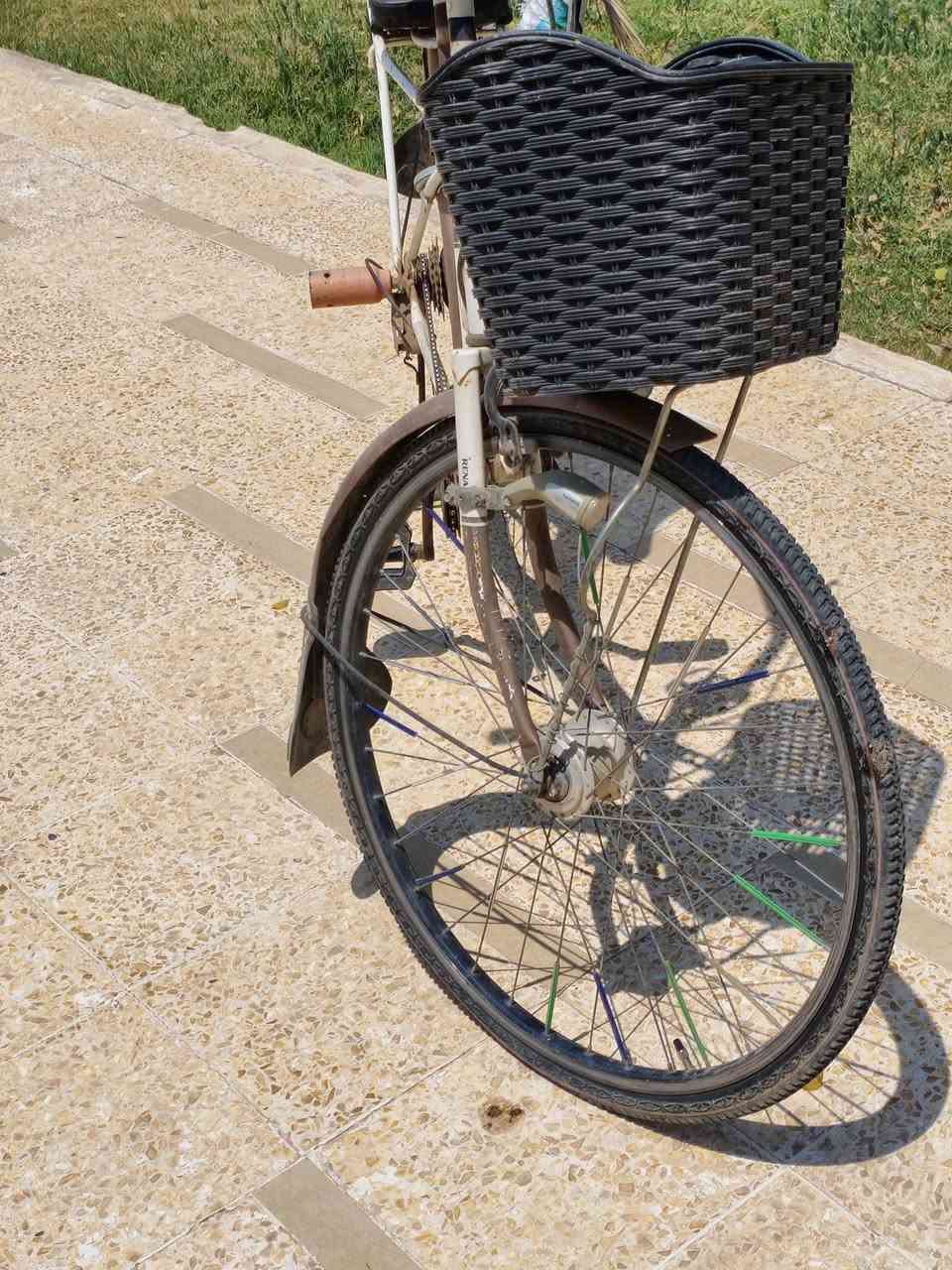 🚲🔥 للبيع بايسكلين بحالة تشغيلية وجاهزين للاستخدام 🔥🚲
السلام عليكم، عدنا بايسكلين للبيع، الاثنين شغالين وجاهزين للركوب، والبيع يكون مفرد أو الاثنين سوه.

🇯🇵 أول بايسكل: الياباني
🔹 السعر: 85 ألف دينار عراقي
🔹 كير 7 نمر وشغال
🔹 الحساس شغال
🔹 البايسكل شغال وكلشي أساسي بيه يعمل
🔹 مريح للركوب والاستخدام اليومي
🔹 بيه سلة أمامية
🔹 بيه حوامل خلفيه و كشن خلفي مريح
🔹 الإطارات والجنطات مبينة بالصور
🔹 توجد بيه بعض آثار الاستخدام، مثل أي بايسكل مستعمل، لكن حالته التشغيلية ممتازة جدا

🇺🇸 ثاني بايسكل: الأمريكي Dinos
🔹 السعر: 80 ألف دينار عراقي
🔹 كير شغال
🔹 البايسكل شغال وجاهز للاستخدام
🔹 بيه سيبايه خلفيه
🔹 مناسب للاستخدام اليومي والطلعات
🔹 توجد بعض آثار الاستخدام والخدوش الطبيعية، وكلشي واضح بالصور.

🔥 عرض خاص للي ياخذ الاثنين:
بدل 165 ألف إذا كل واحد وحده، الاثنين سوه بـ 160 ألف دينار فقط 🔥

📦 البيع ويا غراضهن الموجودة بالصور، يعني ما راح تاخذ بايسكل مصلخ وتبدي بعدها تشتري له أغراض وحدة وحدة وتلعن اليوم اللي قررت بيه تشتري بايسكل. 😂

📸 الصور حقيقية للبايسكلات نفسها، وكل التفاصيل والحالة مبينة بالصور، وماكو داعي للتجميل الزايد بالإعلان.

✅ الياباني: 85 ألف
✅ Dinos الأمريكي: 80 ألف
🔥 الاثنين: 160 ألف

📌 البيع للجادين فقط.
📌 الفحص والمعاينة قبل الشراء متاحة
📌 البايسكلات مستعملة، لذلك توجد آثار استخدام، لكن الاثنين شغالين.
📌لحد يجي و يكول تعبانات فقط يردلهن غسل  لا اكثر ولا اقل

🚲 فرصة مناسبة للي يريد بايسكلات لأبنائه  جاهز للاستخدام بدون وجع راس شراء وتجميع أغراض من جديد.

📩 للاستفسار والتواصل واتساب: ***********
