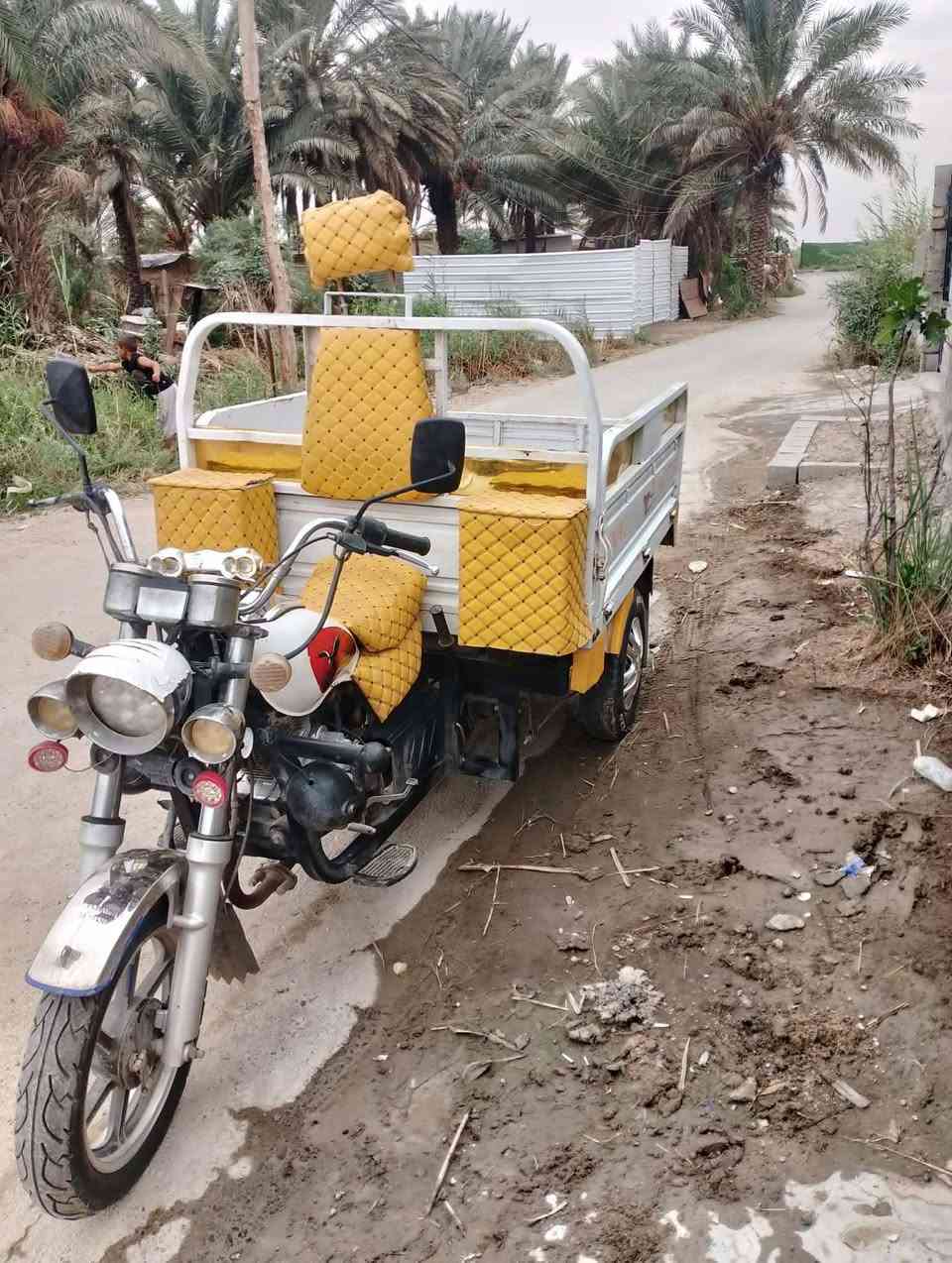 ستوته جمره • ٢٠٢٤ • مكفوله
