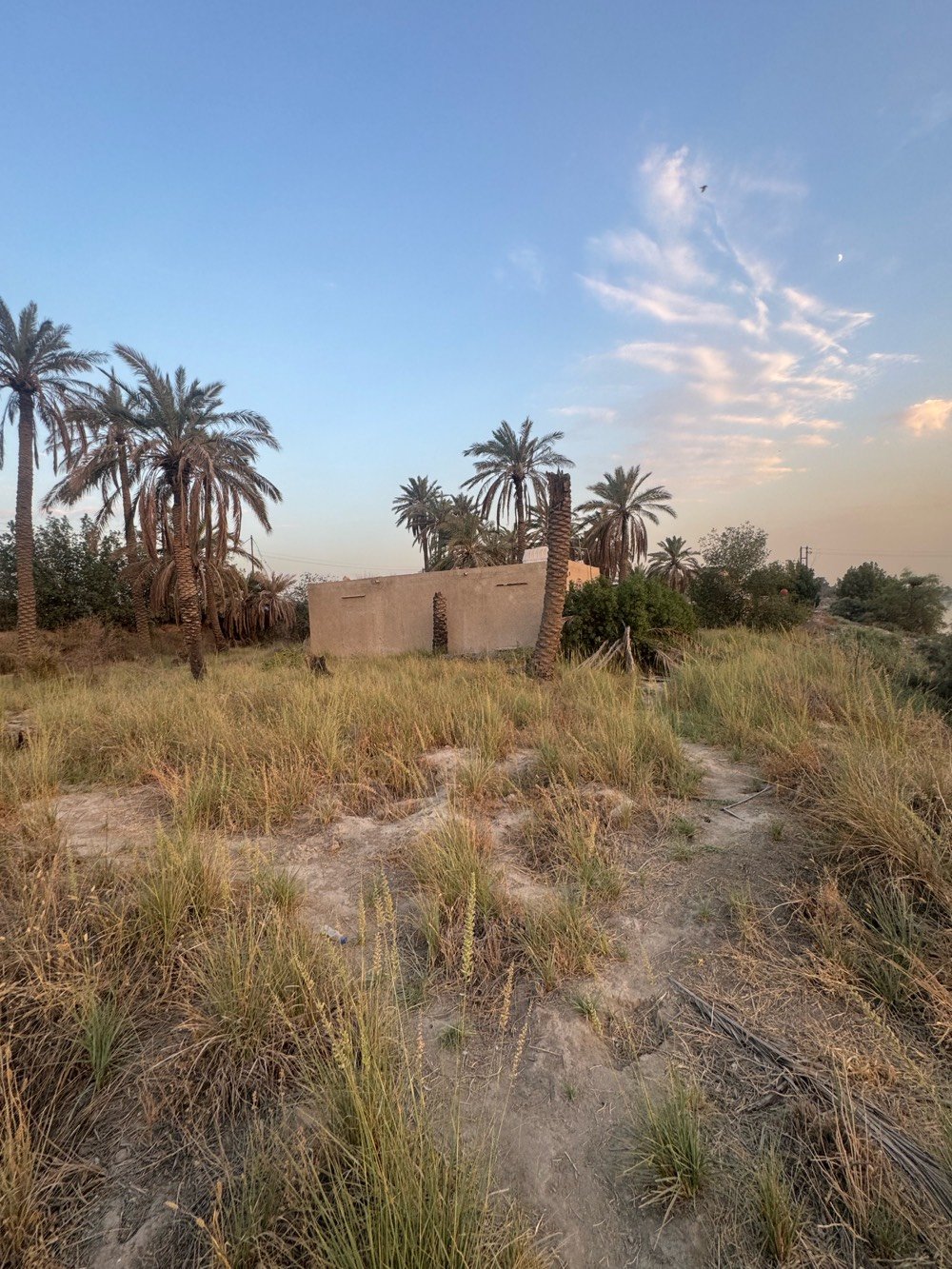 بستان للبيع طابو ملك صرف 
مساحته دونمين واقع حال ( دونم بالسند)
 البستان مطل على نهر ويحتوي على بيت صغير
سعر البيع  ب 425 مليون دينار
مكانه في جسر ديالى ( الكرغولية)
للاستفسار والشراء يراسل خاص