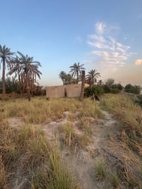 جسر ديالى • ٢ دونم • طابو ملك صرف