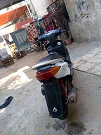 سكنس • ياباني • مامفتوح